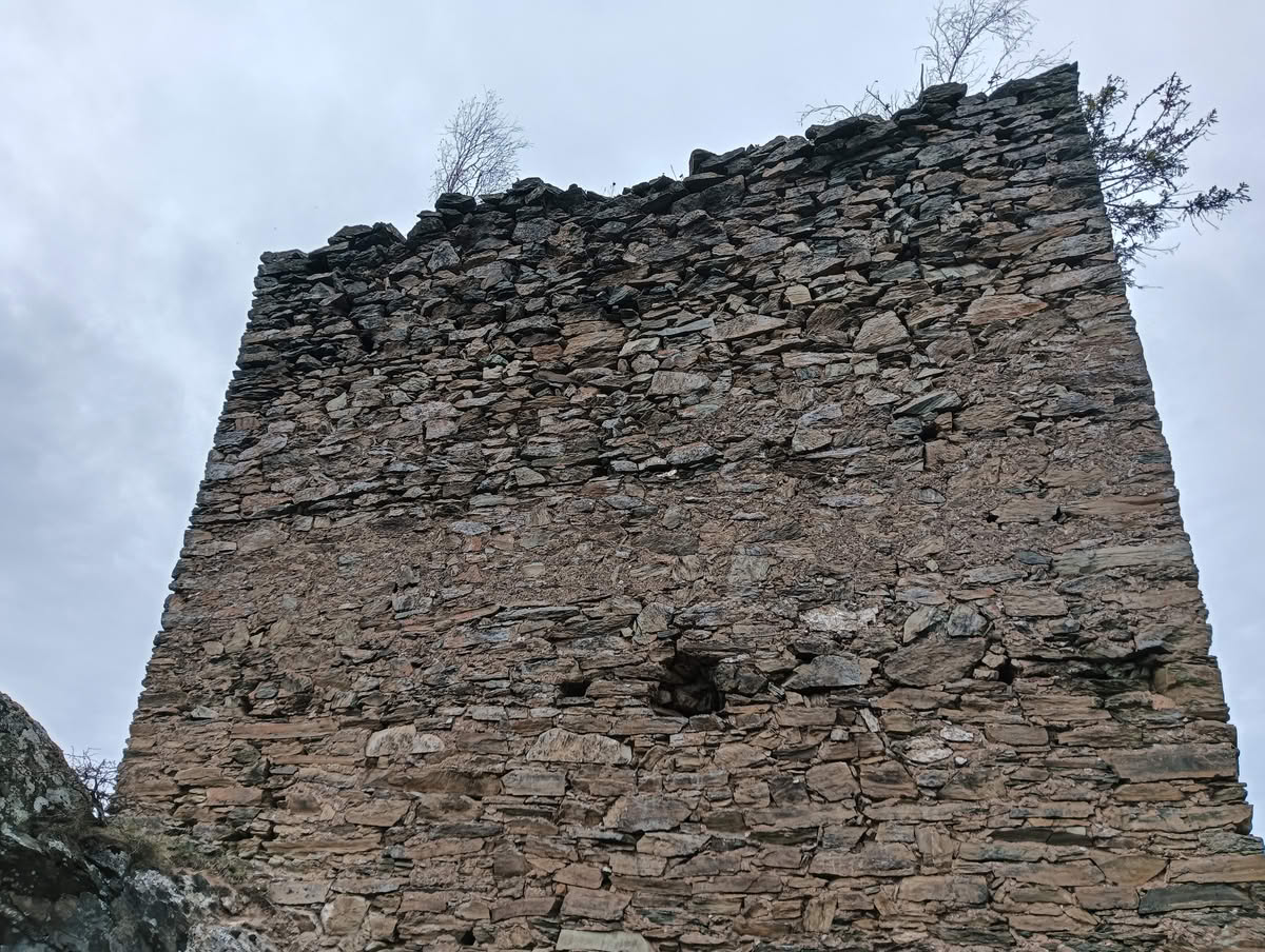 IMG20250323133532 Cetatea Colț