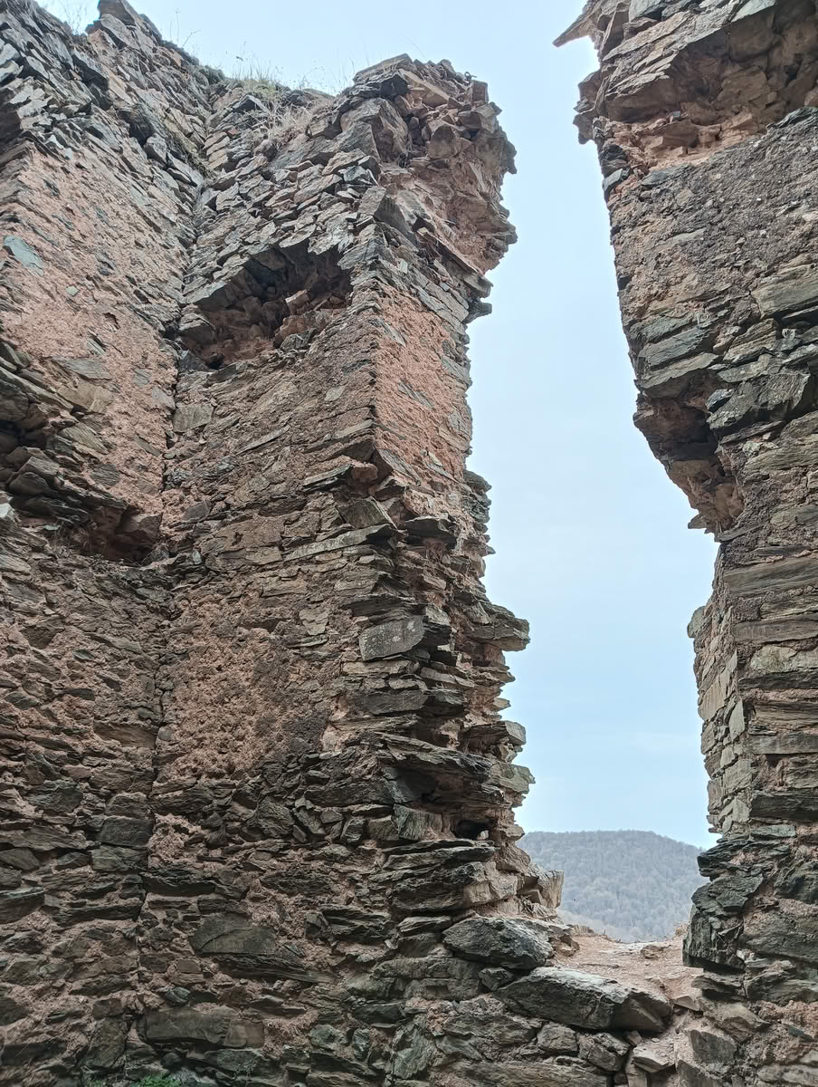 IMG20250323133657 Cetatea Colț
