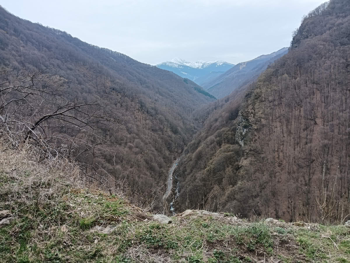 IMG20250323133836 Cetatea Colț