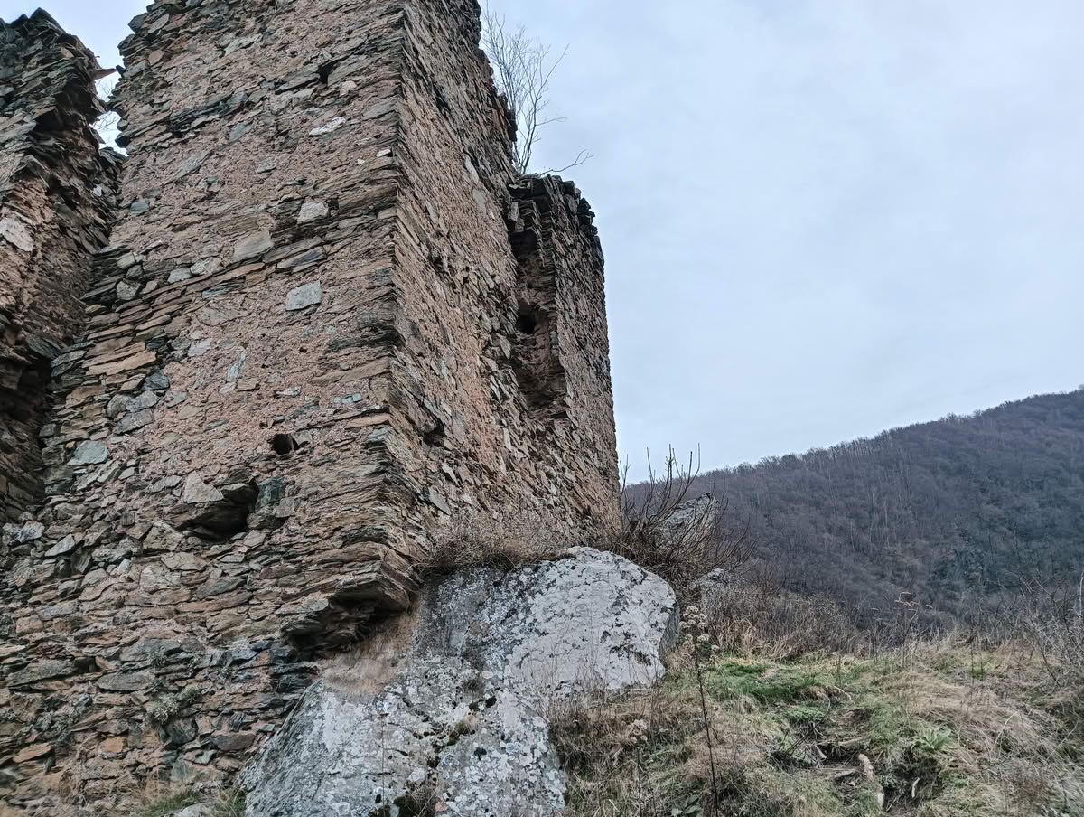 IMG20250323133842 Cetatea Colț