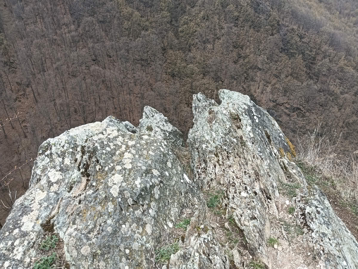 IMG20250323133903 Cetatea Colț
