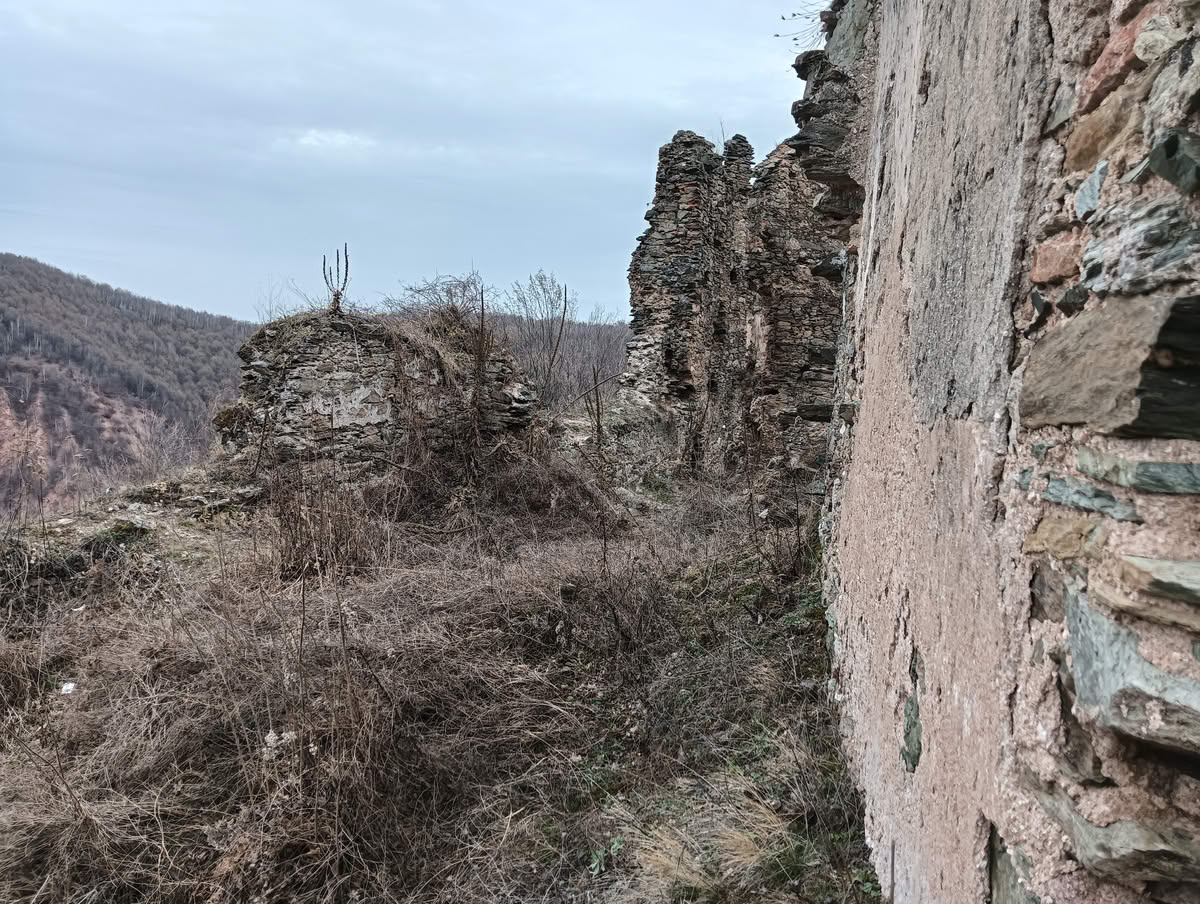 IMG20250323133942 Cetatea Colț