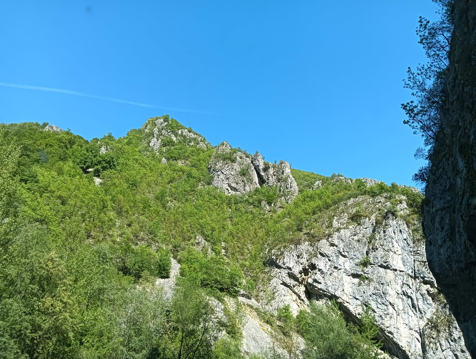 IMG20260503160119 Cheile Sohodolului
