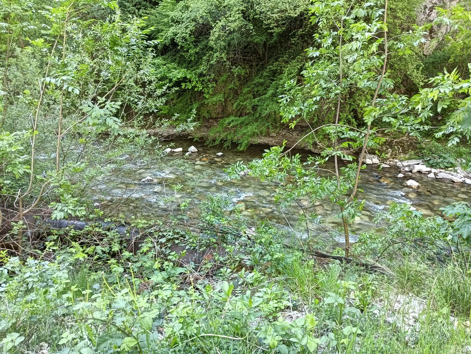 IMG20260503161657 IMG20260503161657