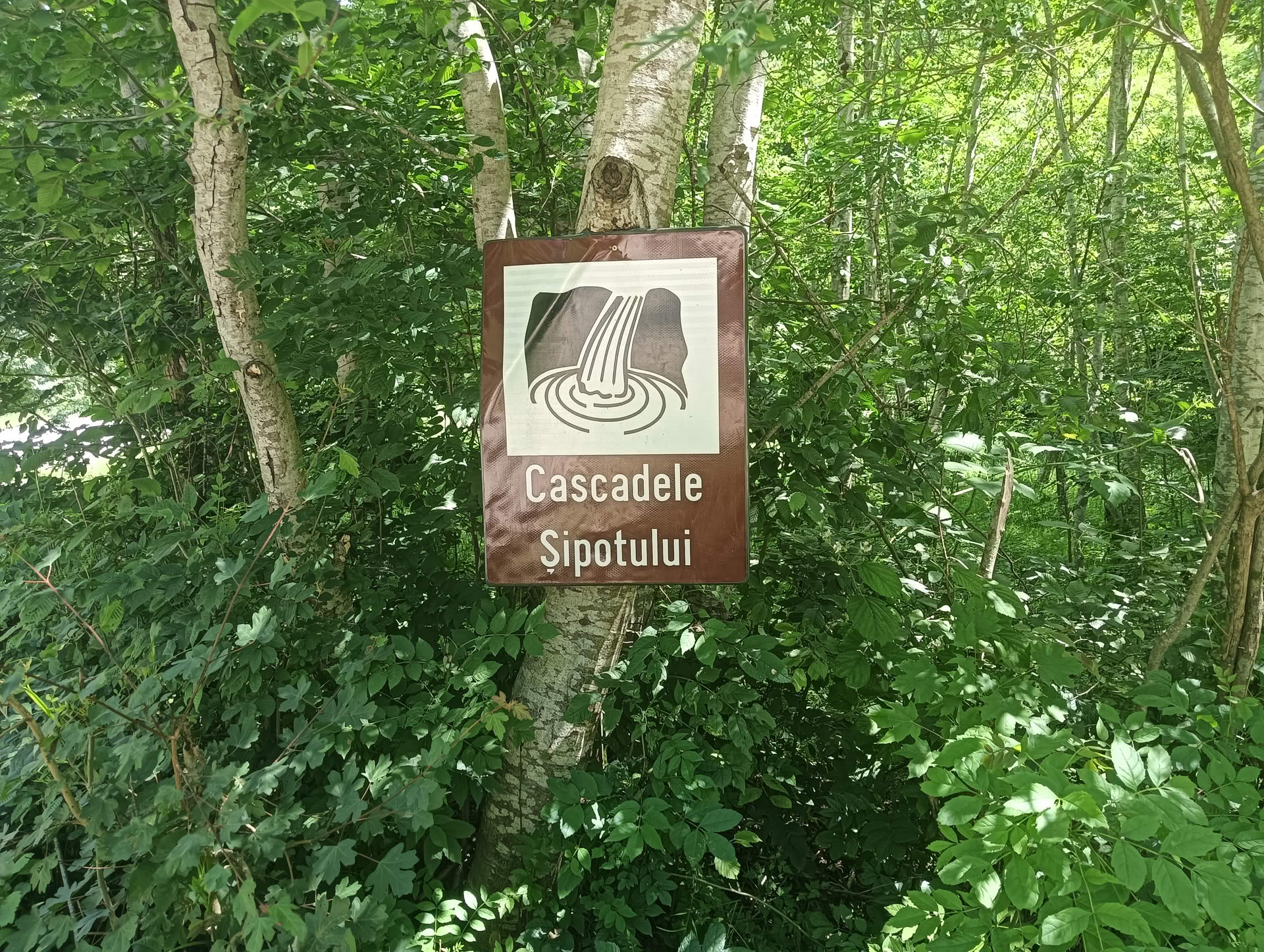 IMG20260621124237 Cascadele Șipotului