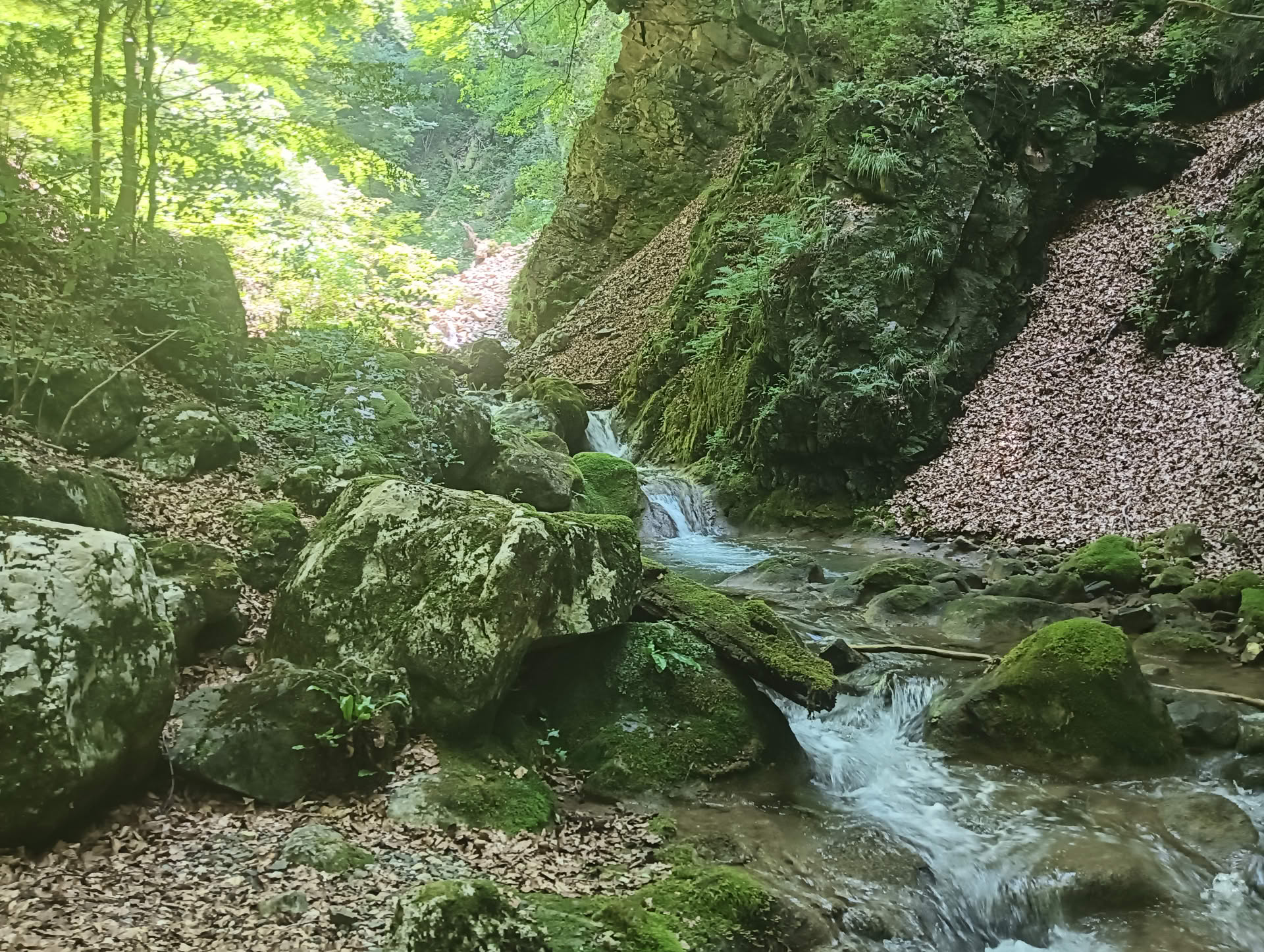 IMG20260621125644 Cascadele Șipotului