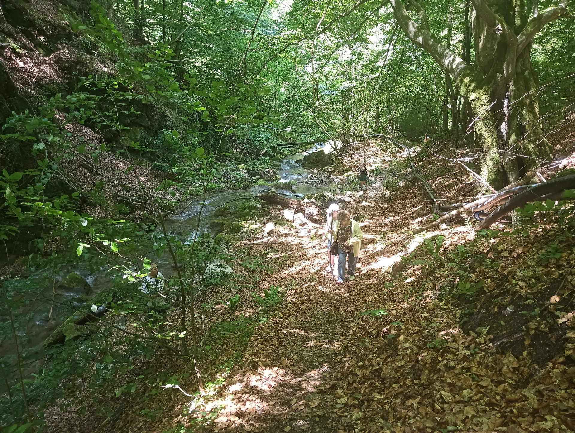 IMG20260621125730 Cascadele Șipotului