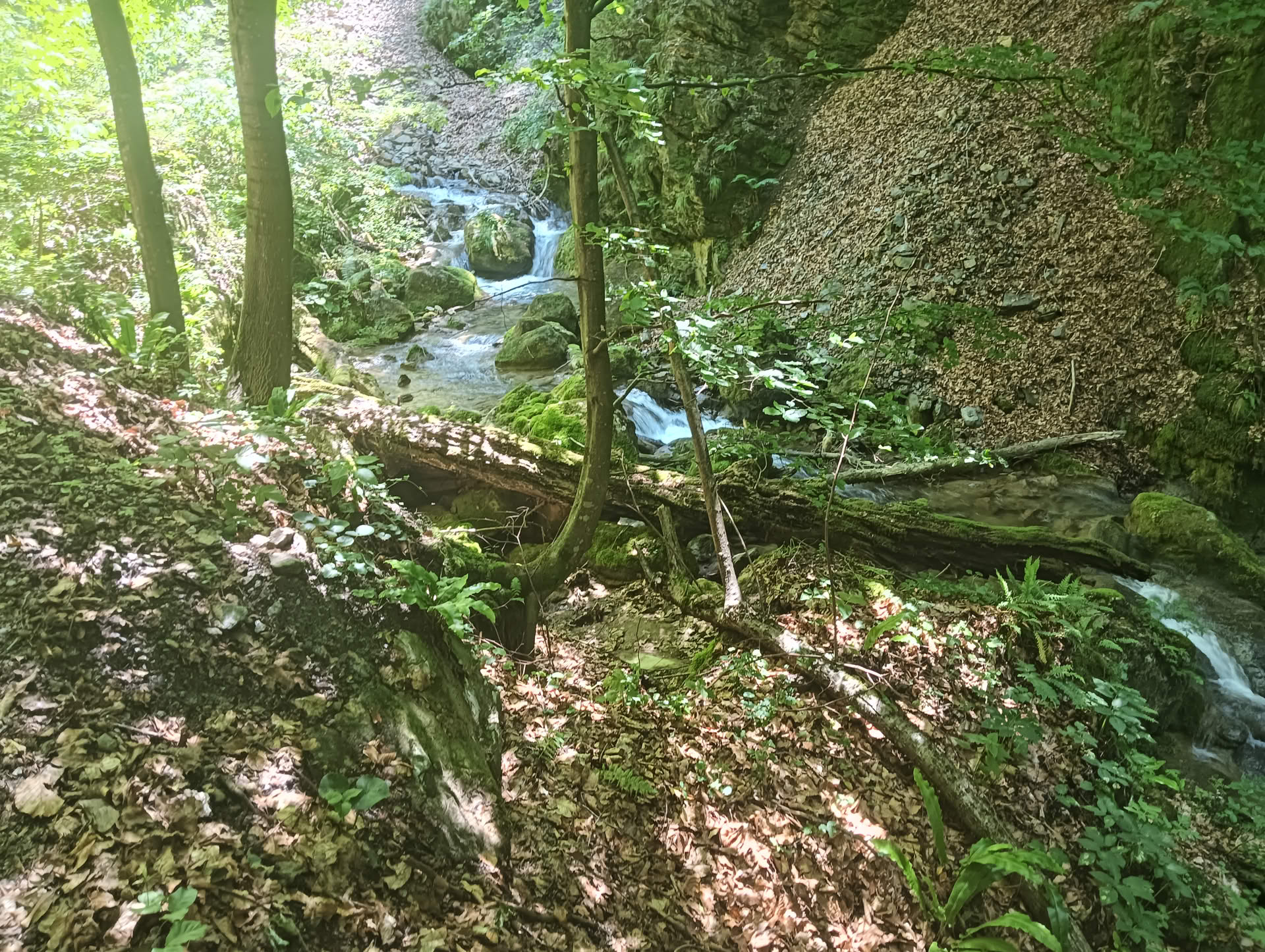IMG20260621125748 Cascadele Șipotului