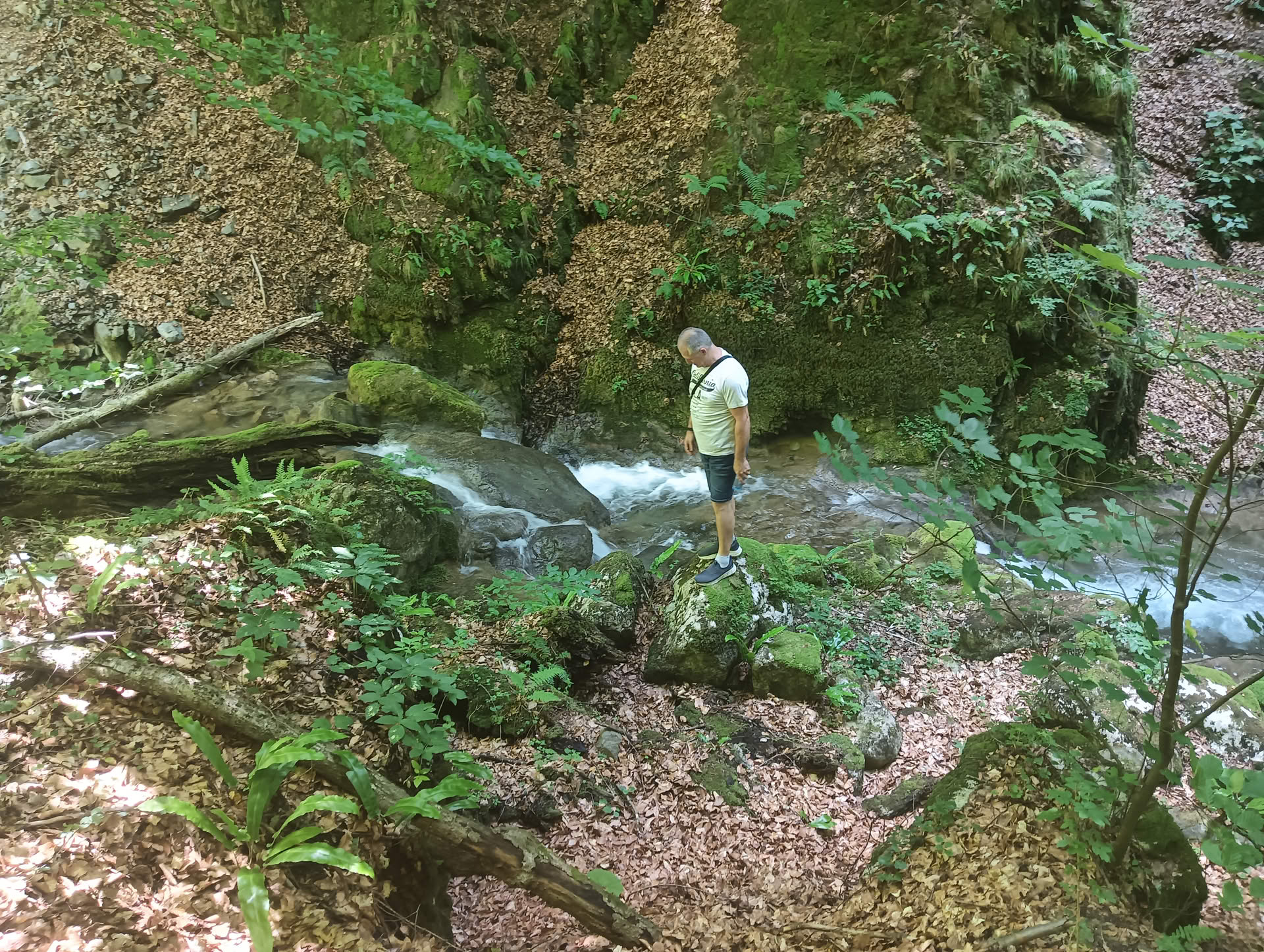 IMG20260621125812 Cascadele Șipotului