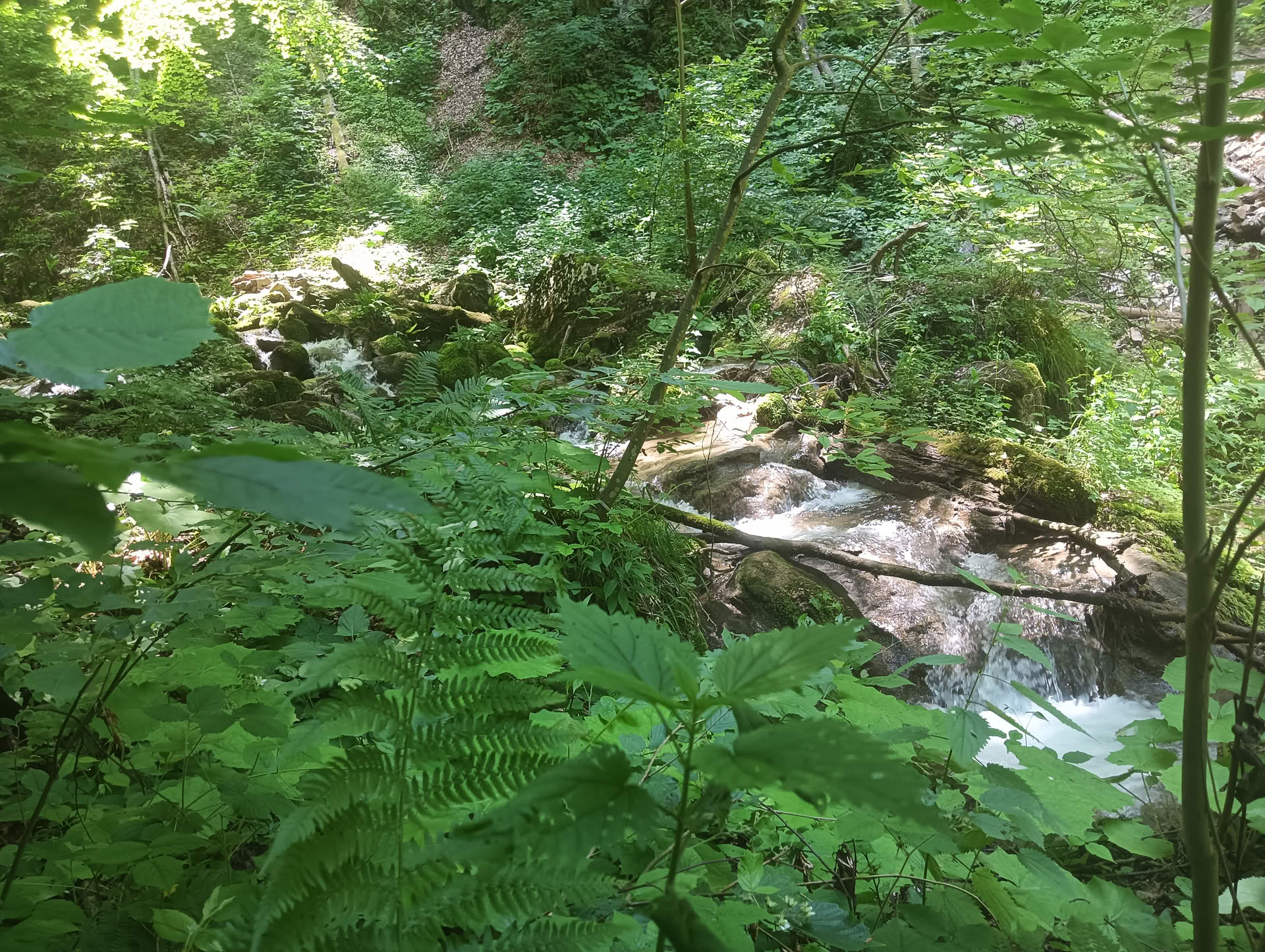 IMG20260621125929 Cascadele Șipotului