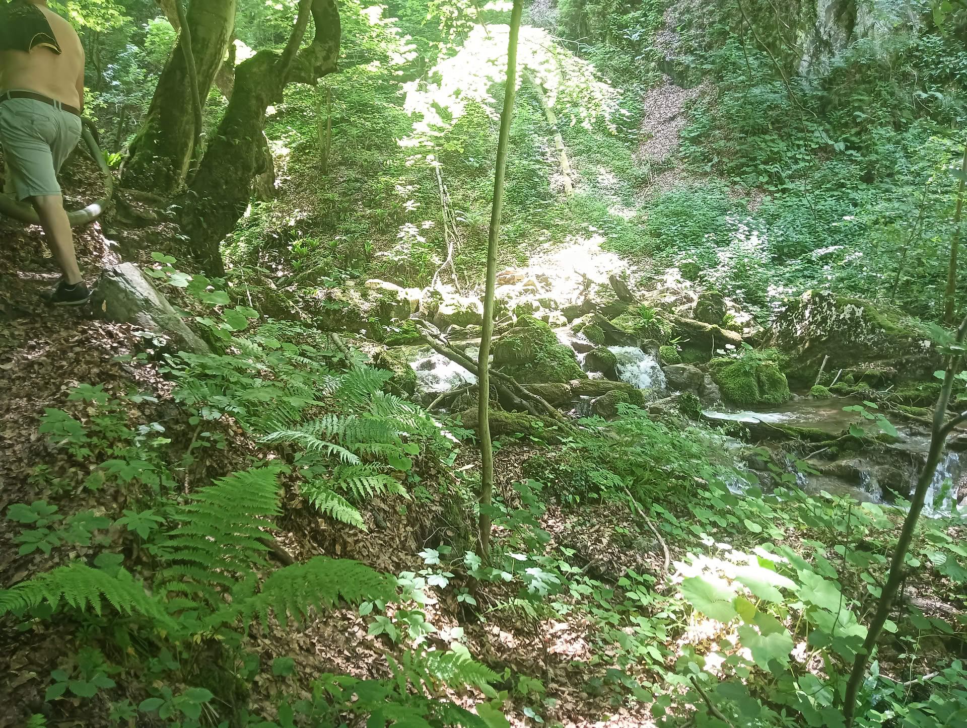 IMG20260621130000 Cascadele Șipotului