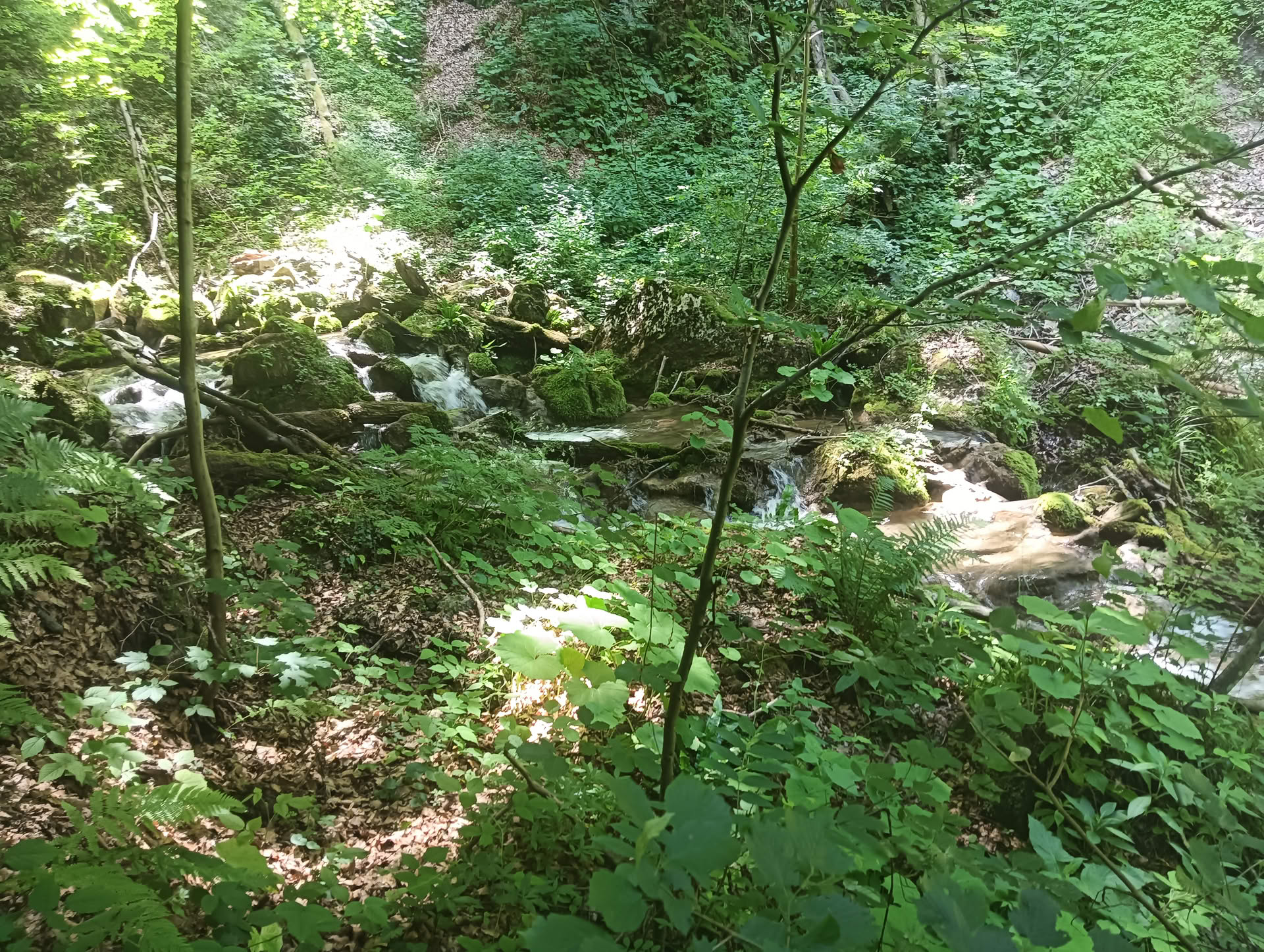 IMG20260621130003 Cascadele Șipotului
