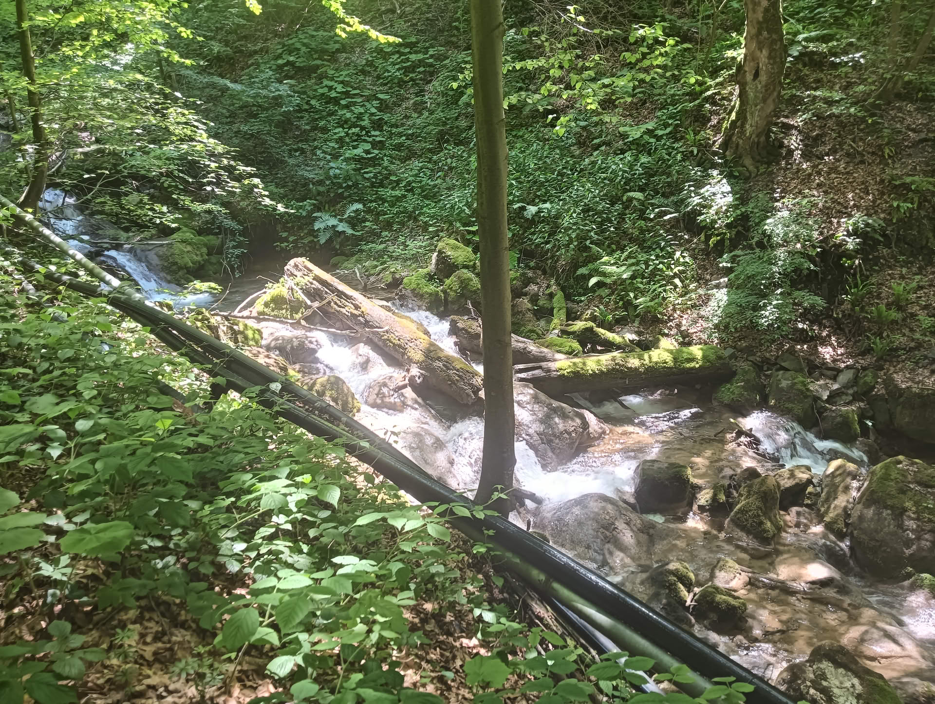 IMG20260621130156 Cascadele Șipotului