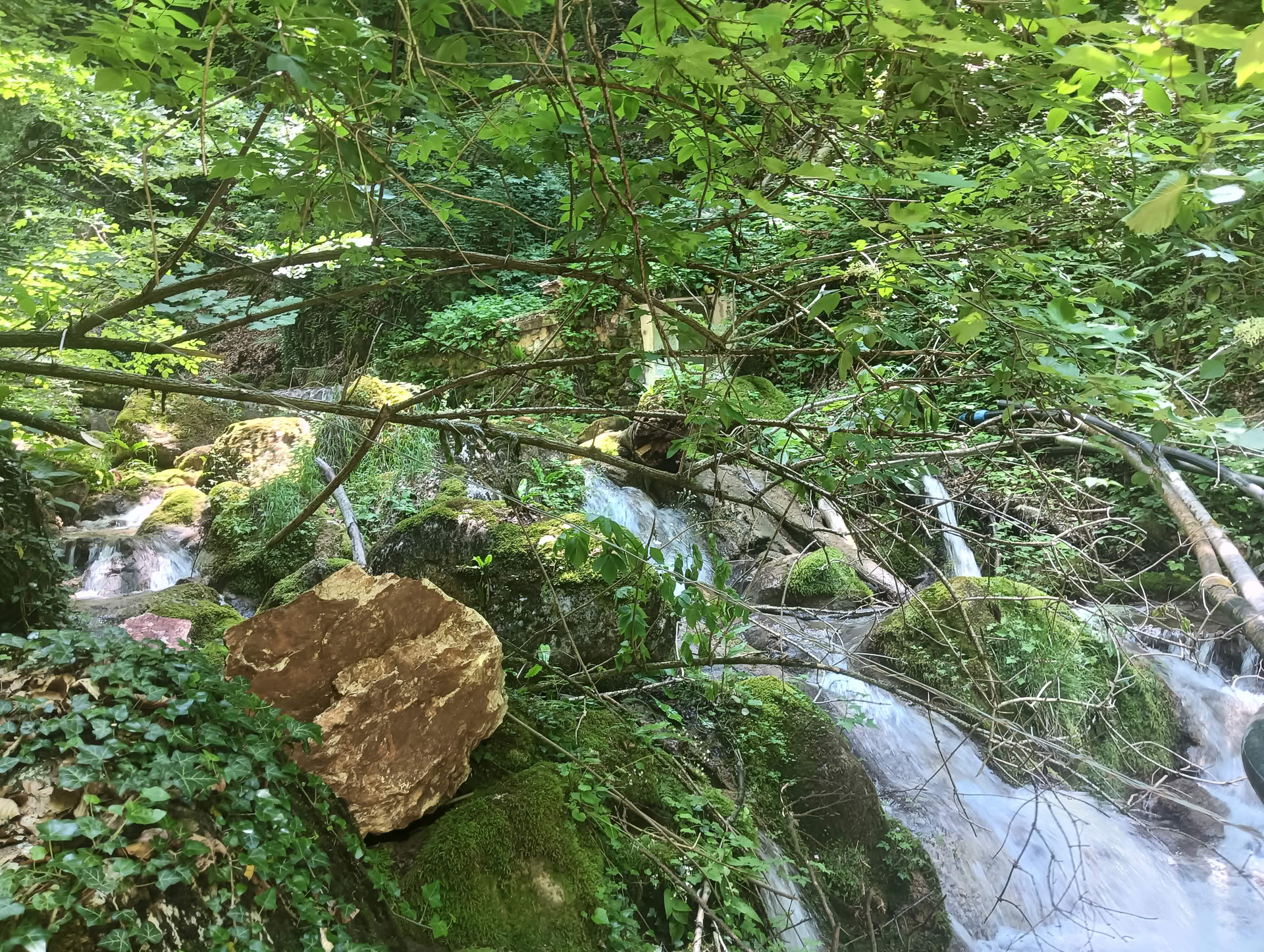 IMG20260621130316 Cascadele Șipotului
