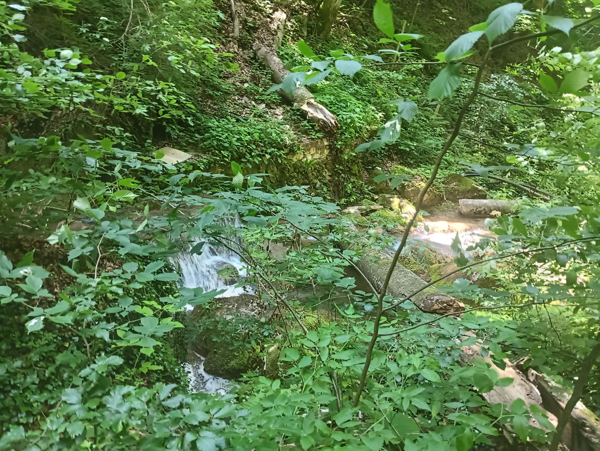 IMG20260621130539 Cascadele Șipotului