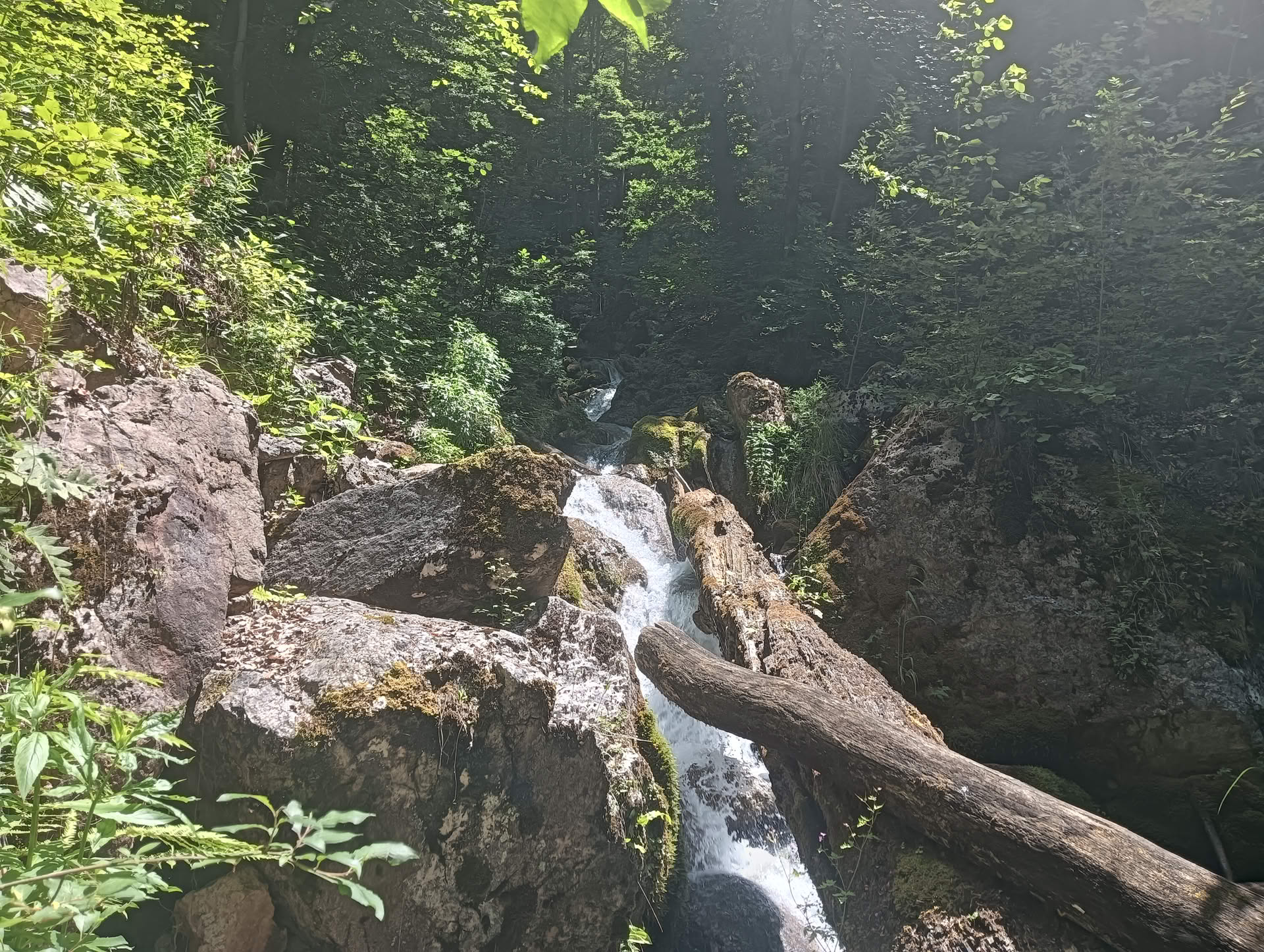 IMG20260621131504 Cascadele Șipotului