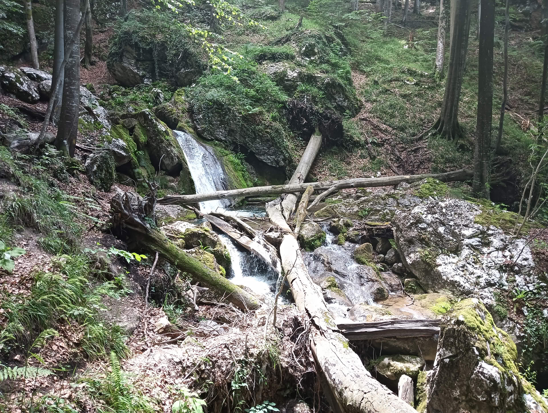 IMG20260621132409 Cascadele Șipotului