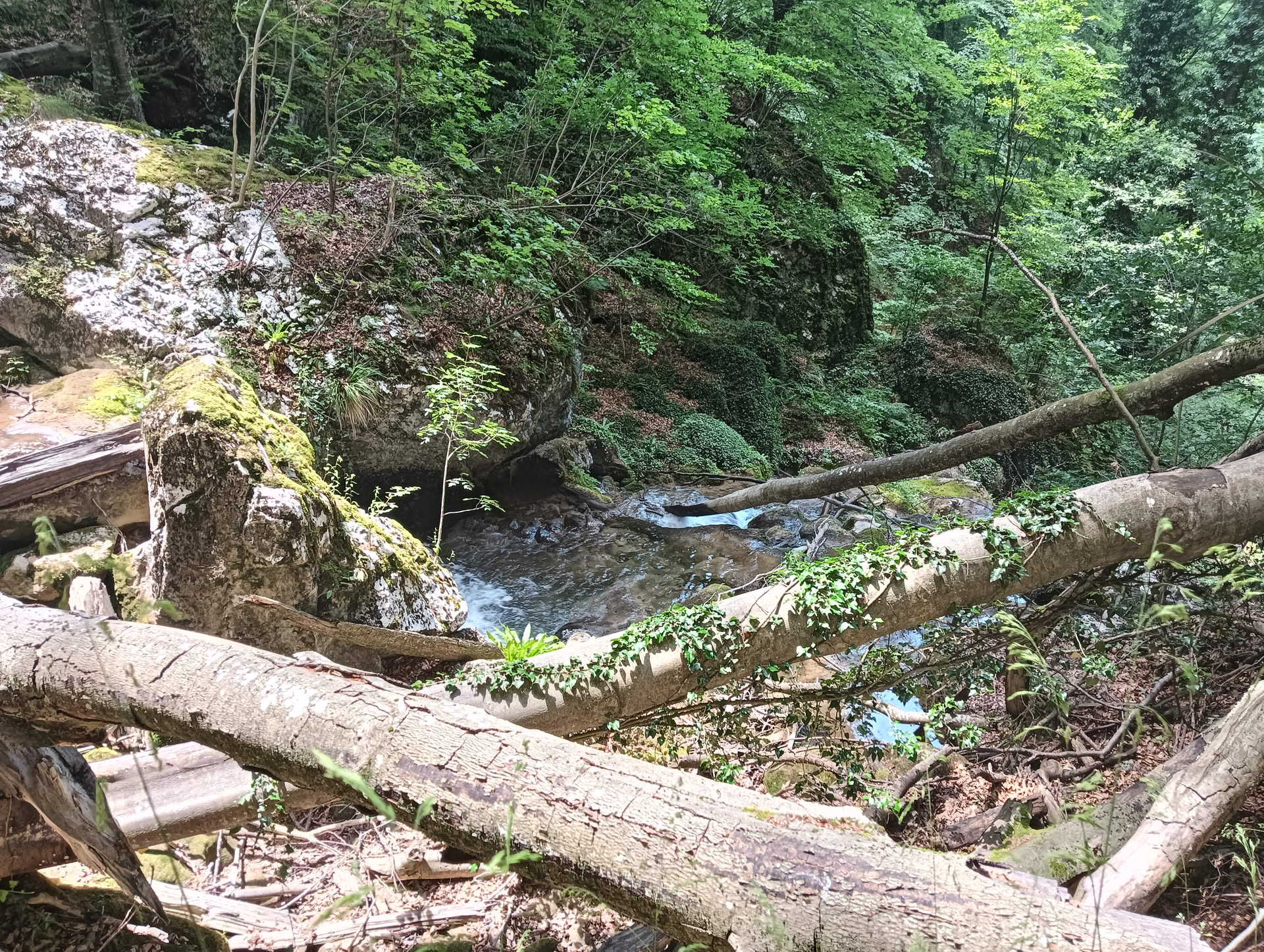 IMG20260621132417 Cascadele Șipotului