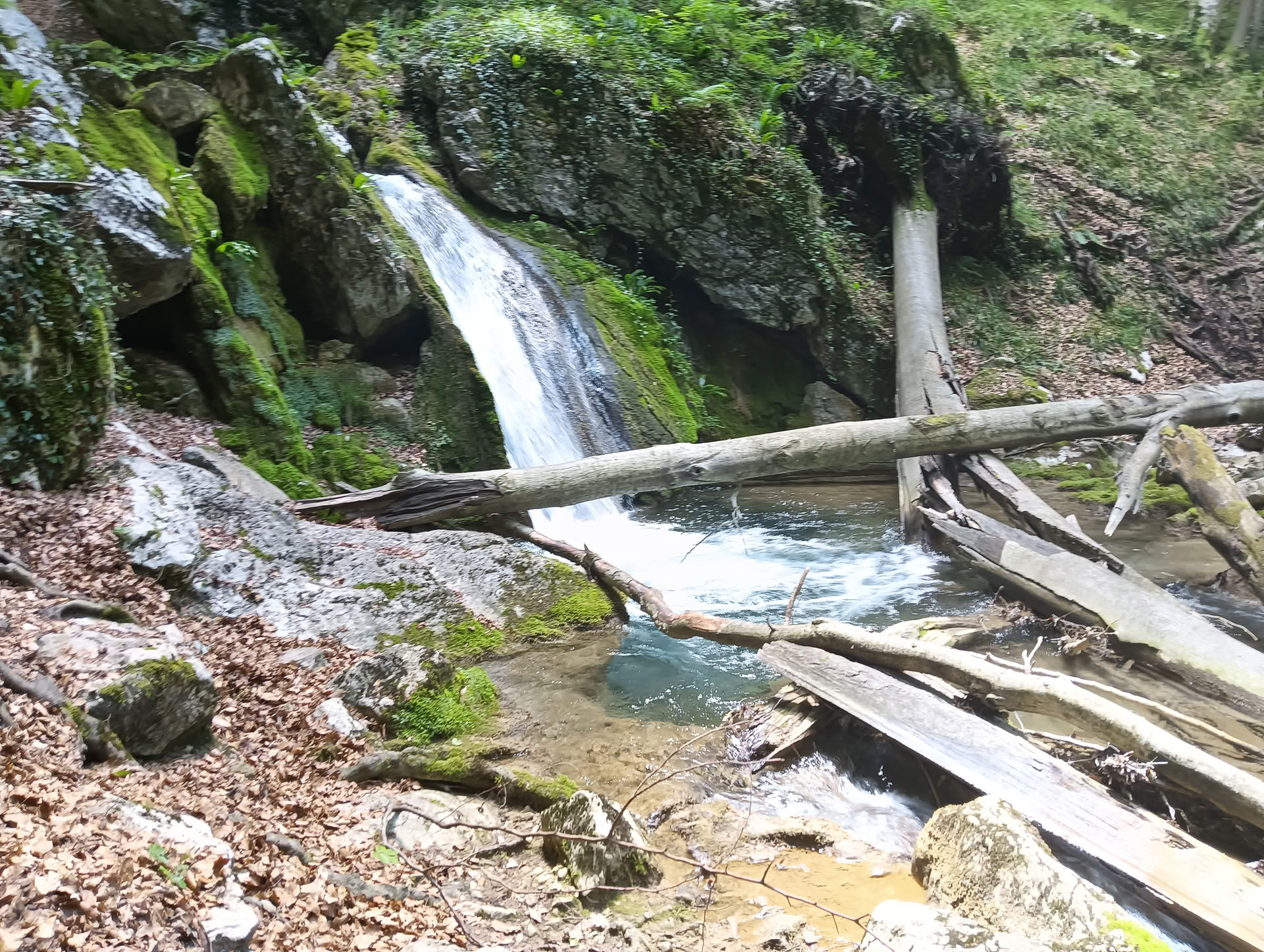 IMG20260621132513 Cascadele Șipotului