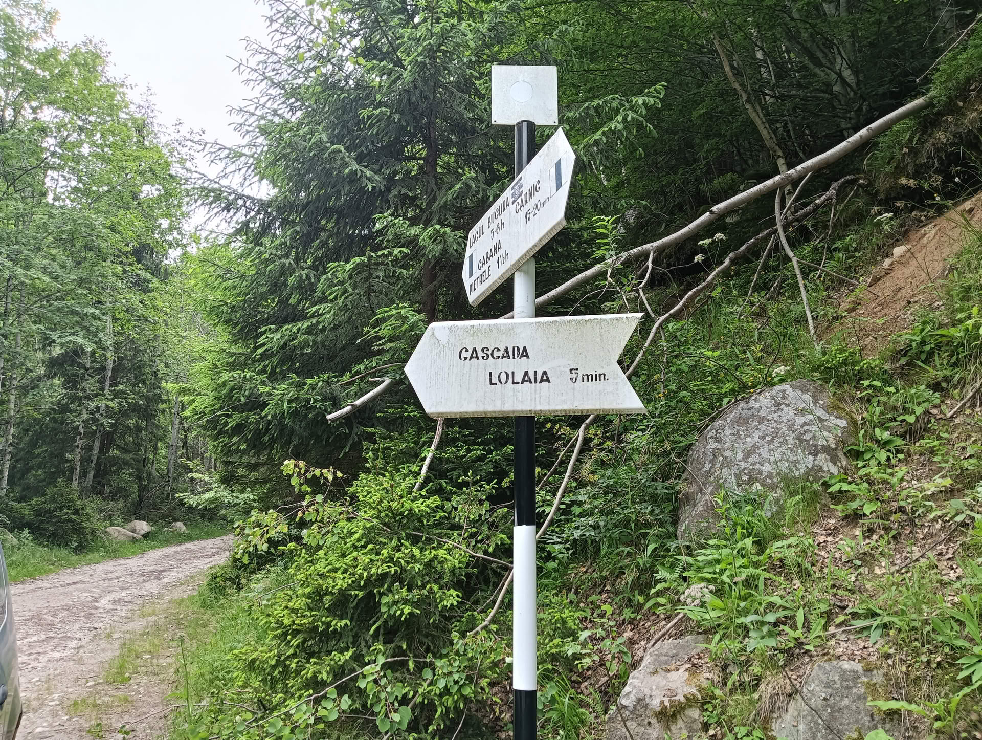 IMG20260621160449 Cascada Lolaia