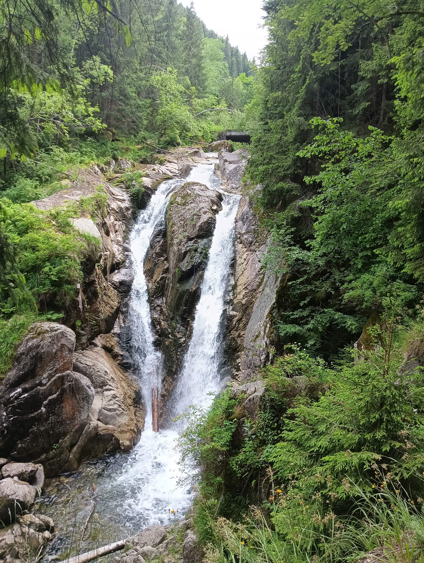 IMG20260621160943 Cascada Lolaia