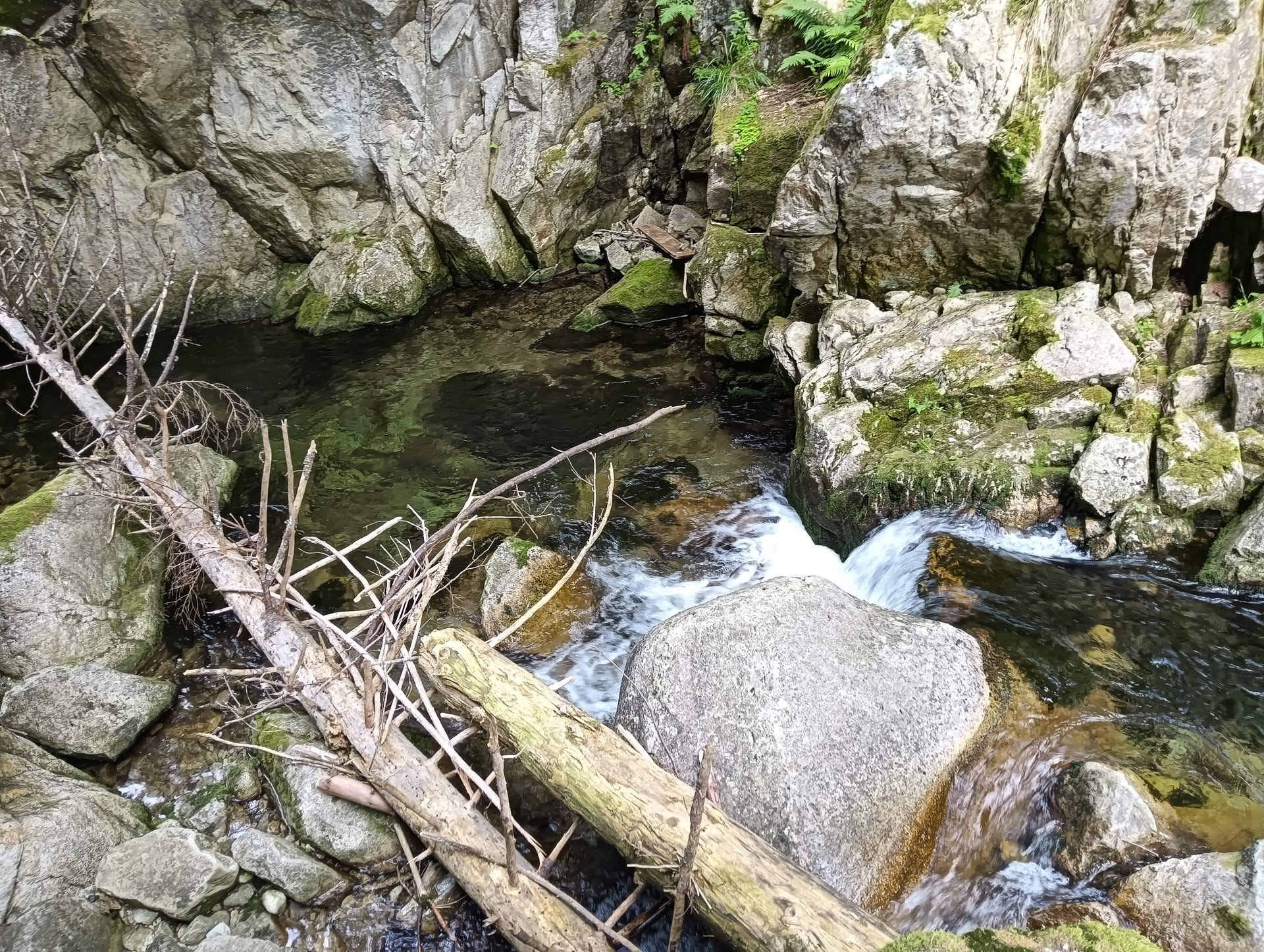 IMG20260621161405 Cascada Lolaia