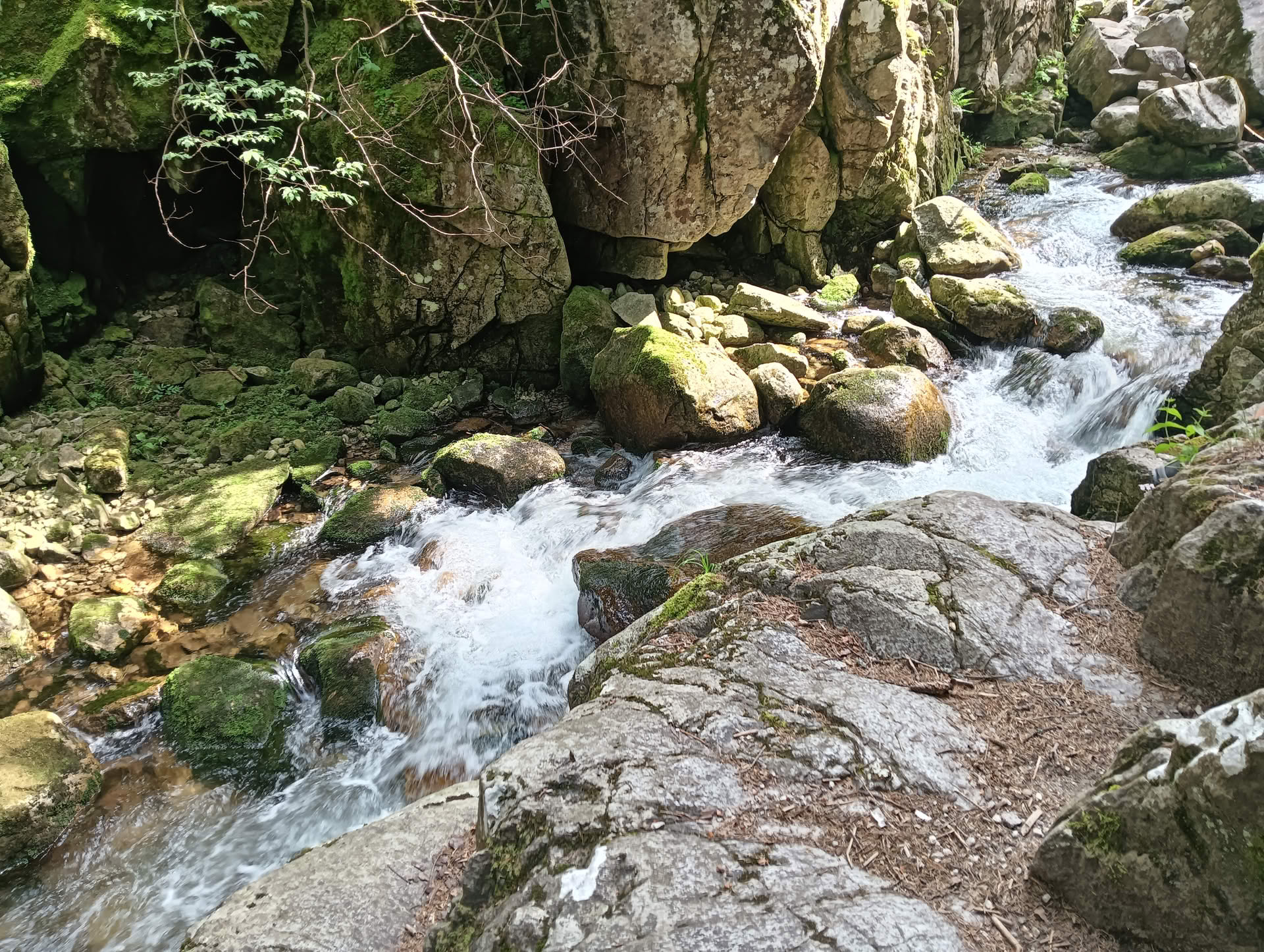 IMG20260621161409 Cascada Lolaia