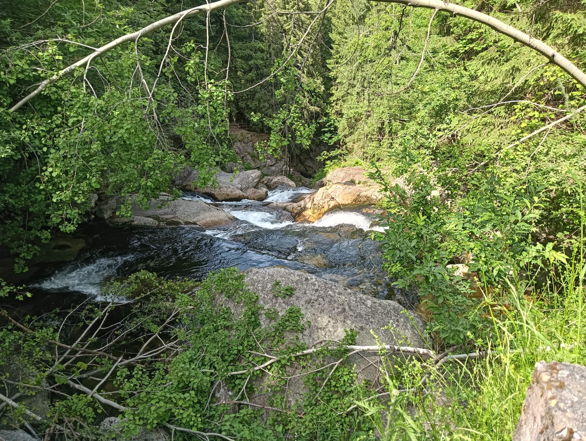 IMG20260621162424 Cascada Lolaia