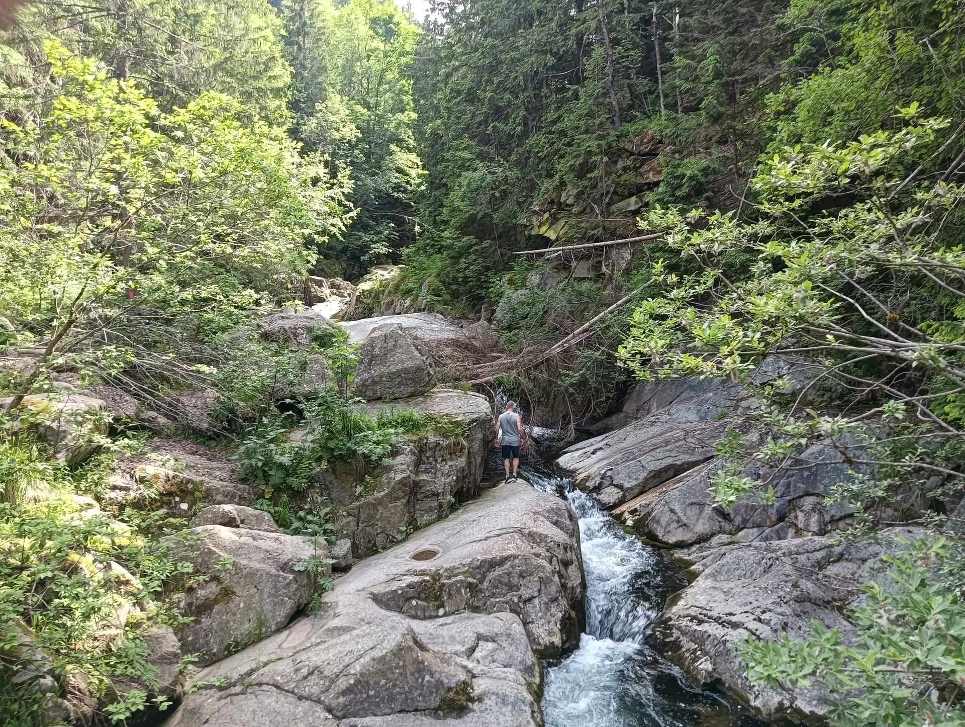 IMG20260621162501 Cascada Lolaia