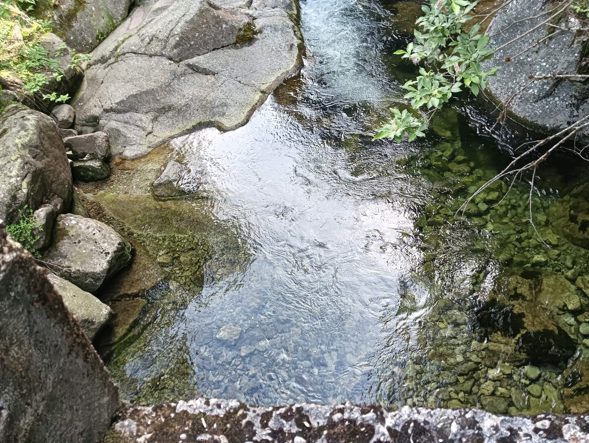 IMG20260621162504 Cascada Lolaia