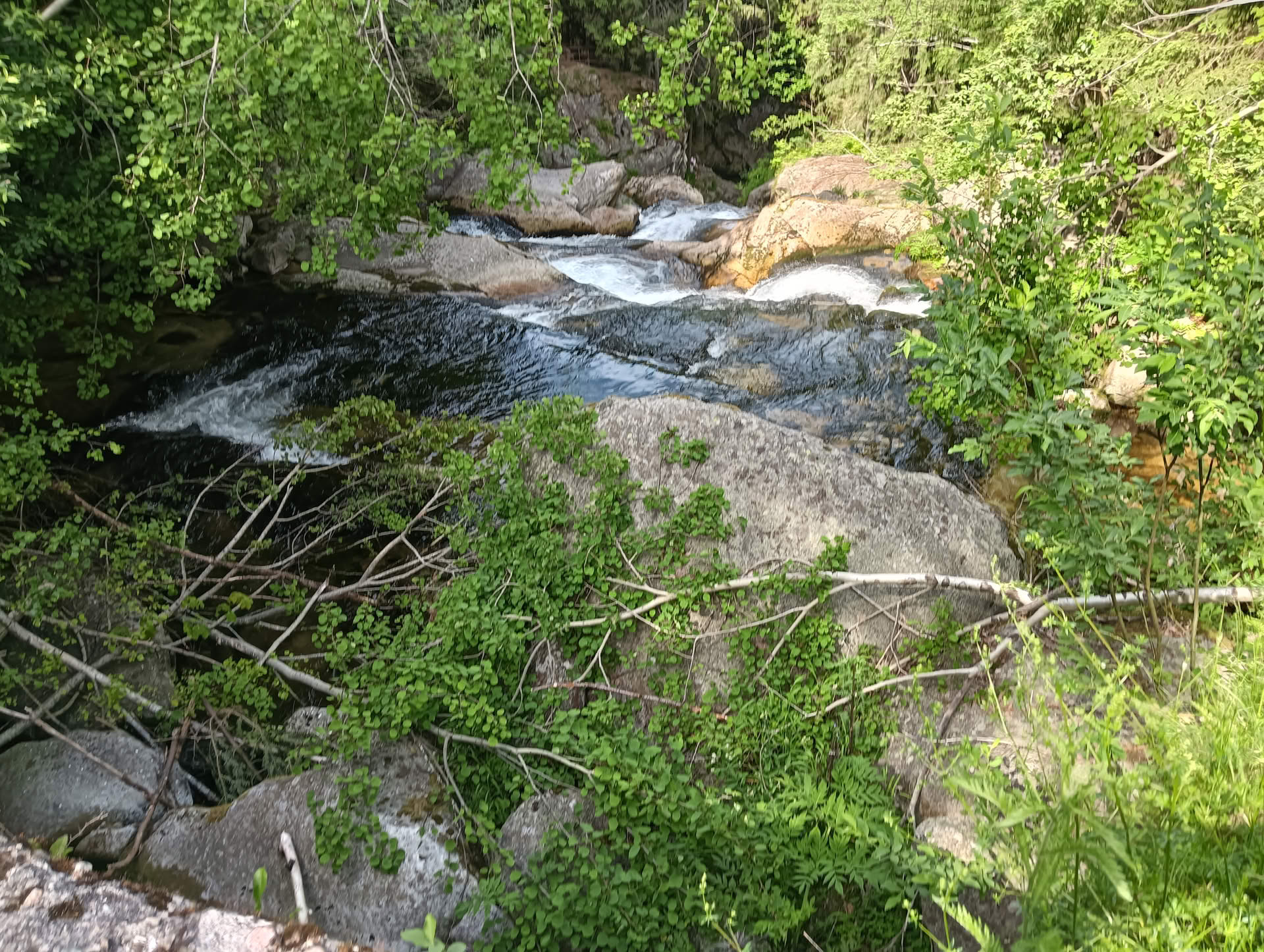 IMG20260621162519 Cascada Lolaia
